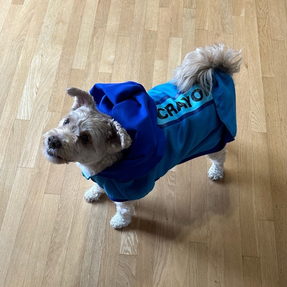 NWT Hyde & Eek Size large dog blue crayon costume - Picture 5 of 6